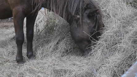 Similar image 21770876