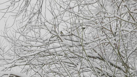 Similar image 21770877