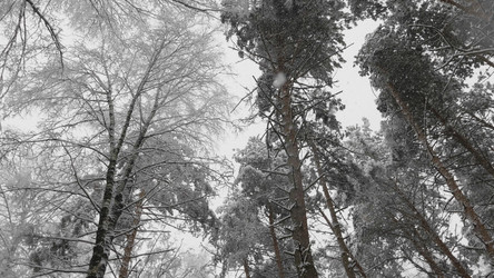 Similar image 21770878