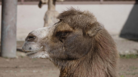 Similar image 21770885