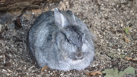 Similar image 21770888