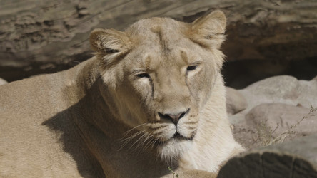 Similar image 21770889