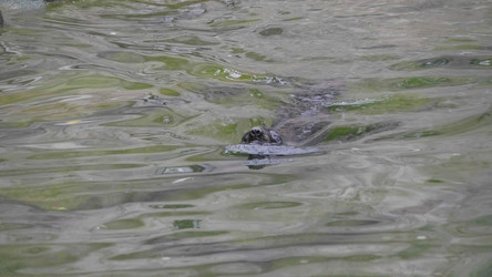 Similar image 21770890