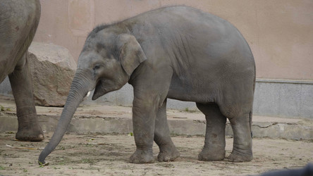 Similar image 21770894