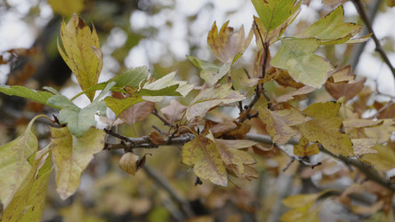 Similar image 21771139