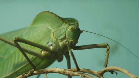 Similar image 21771145