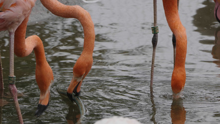 Similar image 21771146