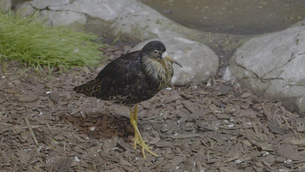 Similar image 21771149