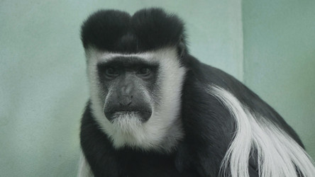 Similar image 21771152