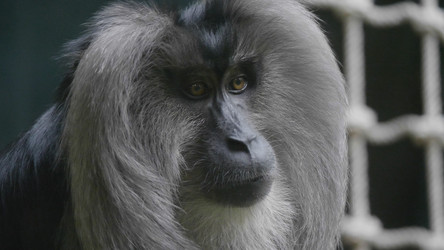 Similar image 21771155