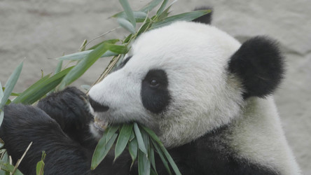 Similar image 21771158