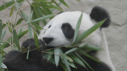 Similar image 21771163