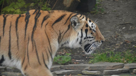 Similar image 21771365