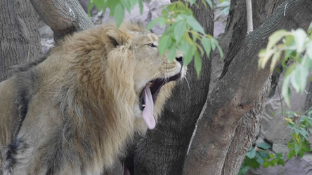 Similar image 21771370