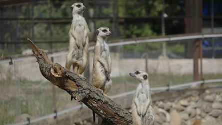 Similar image 21771373