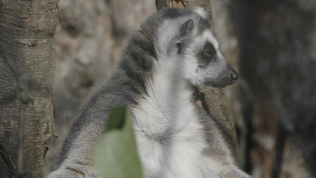 Similar image 21771375