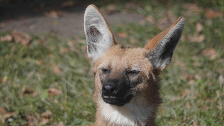 Similar image 21770895