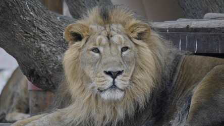 Similar image 21770896