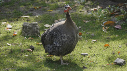 Similar image 21770900