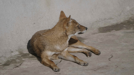 Similar image 21770904