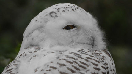 Similar image 21770907