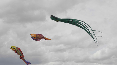 Similar image 21771177