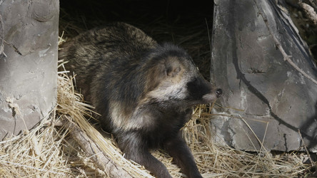 Similar image 21771178