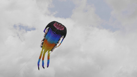 Similar image 21771180