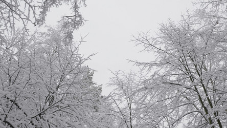 Similar image 21771185