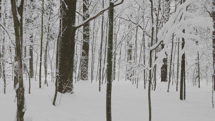 Similar image 21771186