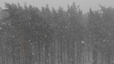 Similar image 21771191