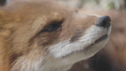 Similar image 21771192