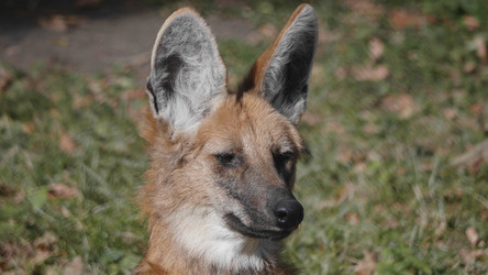 Similar image 21771383