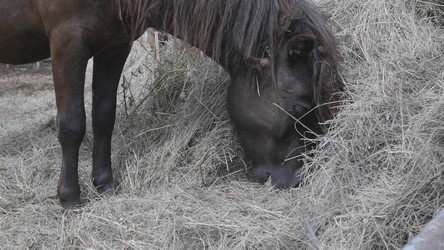 Similar image 21771387