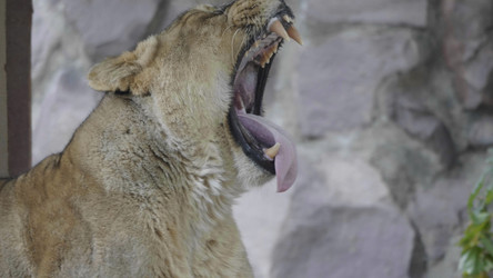 Similar image 21771390