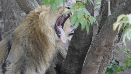 Similar image 21771391