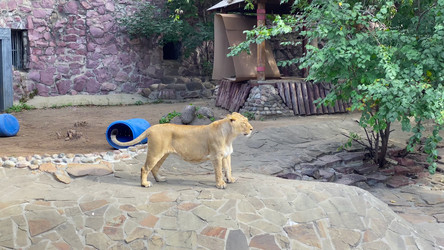 Similar image 21771392