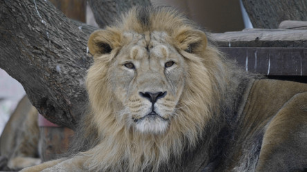 Similar image 21771393