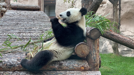 Similar image 21771394