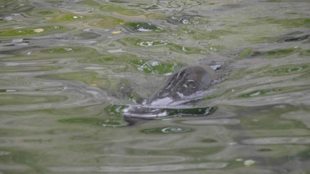 Similar image 21769946