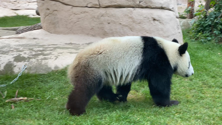 Similar image 21769949