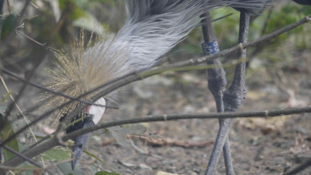 Similar image 21770128