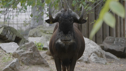 Similar image 21770311