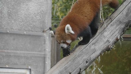 Similar image 21770317