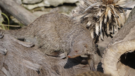 Similar image 21770321