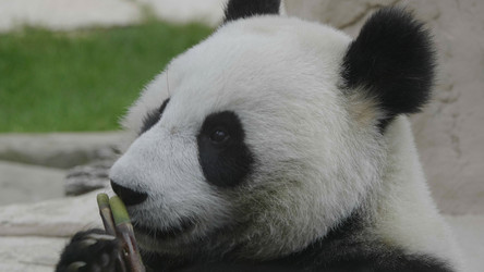 Similar image 21770506