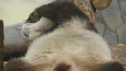 Similar image 21770702