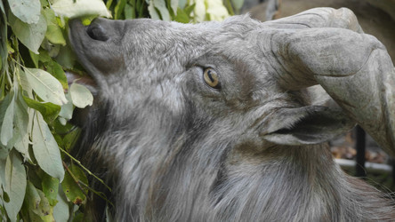 Similar image 21770705