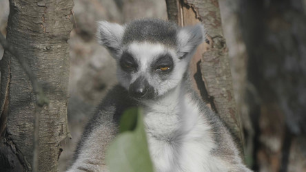 Similar image 21770707