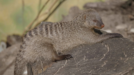 Similar image 21770715